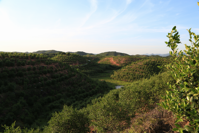 5月15日-将路修到百姓心坎上,让通组路成为乡村脱贫致富的幸福路6